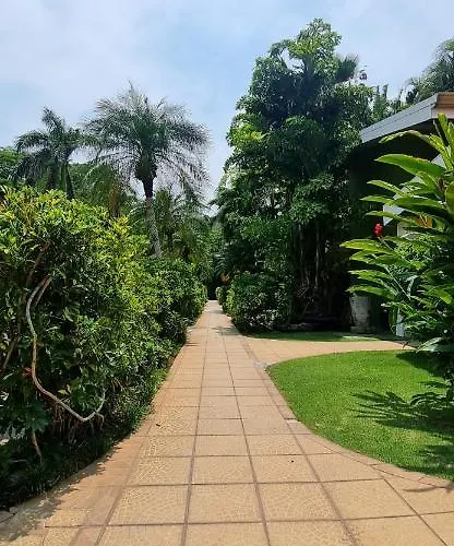 Mangaby Playa Hermosa (Guanacaste)
