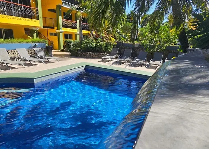Mangaby * Playa Hermosa (Guanacaste)